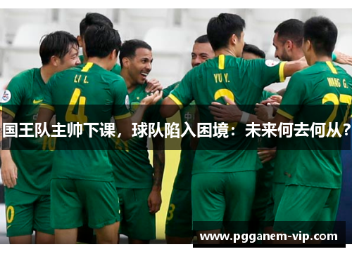 国王队主帅下课，球队陷入困境：未来何去何从？